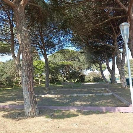 Апартаменти Lara 3 - T2 Loggia Piscine 2 Lits Doubles Parking Pres Du Centre-Port Et Ile Loisirs Агд Екстер'єр фото